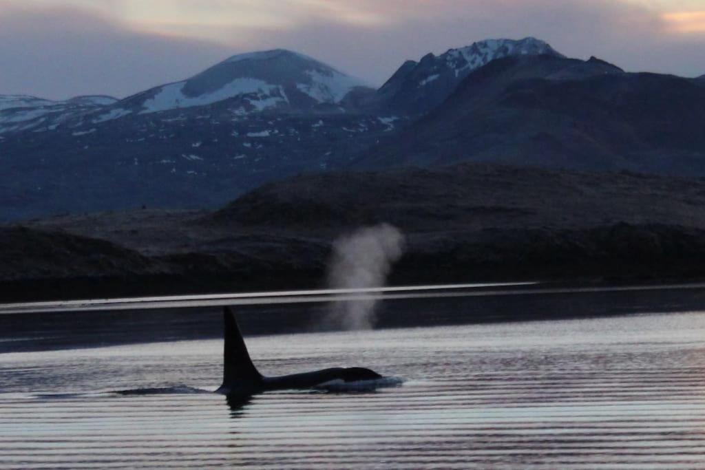 Tanginn Stykkishólmur Esterno foto